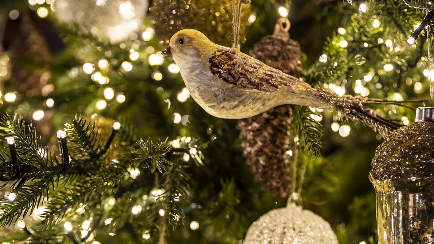 Pictures from Hotel Magdalener Hof in Bolzano Pictures from Hotel Magdalener Hof in Bolzano