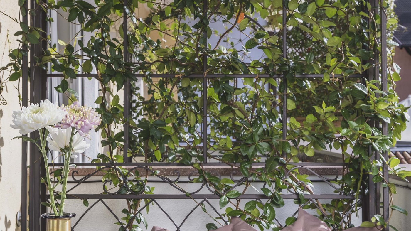 Pictures from Hotel Magdalener Hof in Bolzano Pictures from Hotel Magdalener Hof in Bolzano