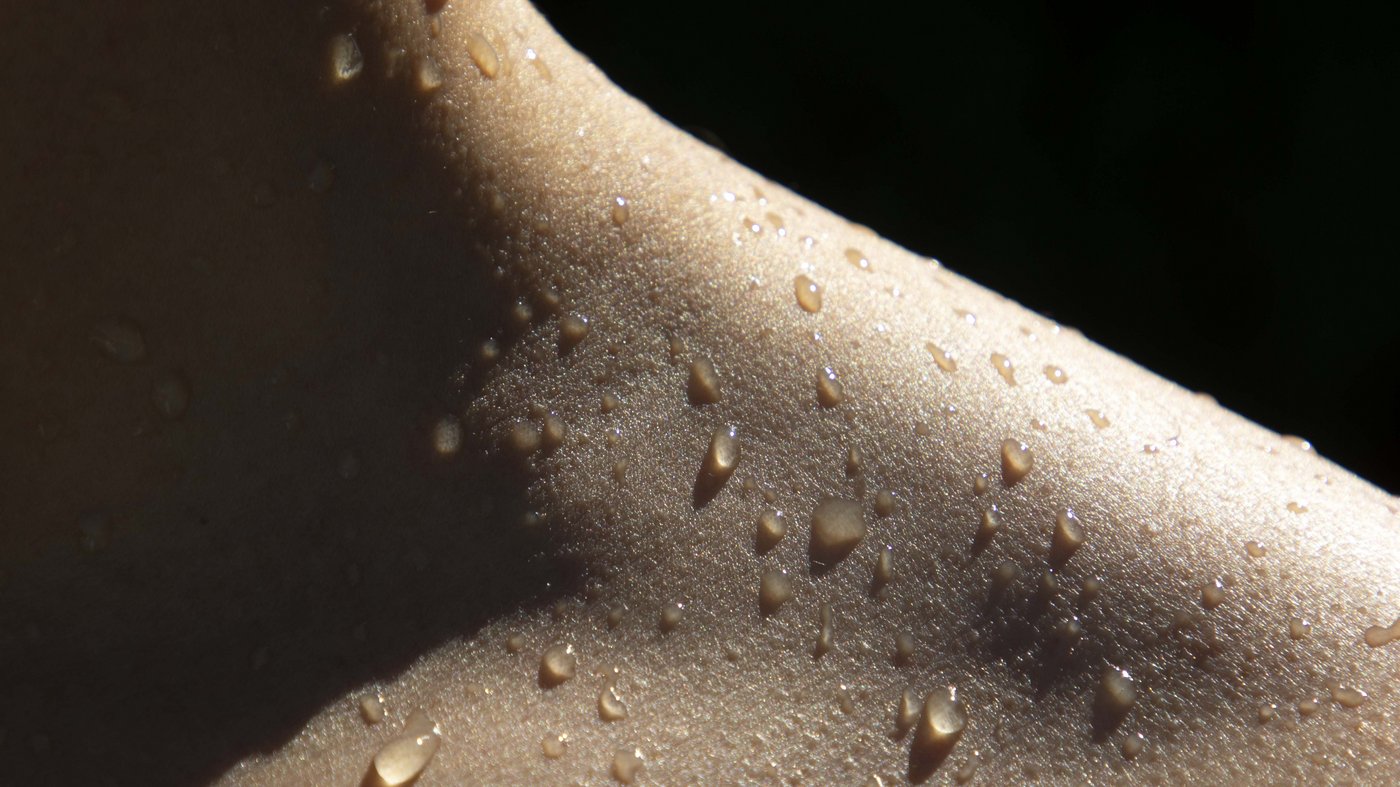 Pictures from Hotel Magdalener Hof in Bolzano Pictures from Hotel Magdalener Hof in Bolzano